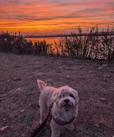 Laurel Hill Park - Secaucus, NJ