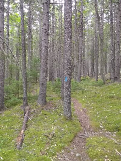 Caterpillar Hill and Cooper Farm- Blue Hill Heritage Trust - Sedgwick, ME