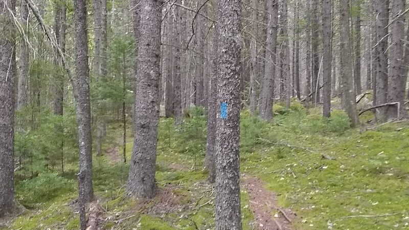 Caterpillar Hill and Cooper Farm- Blue Hill Heritage Trust - Sedgwick, ME