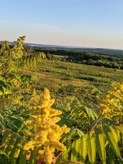 Caterpillar Hill and Cooper Farm- Blue Hill Heritage Trust - Sedgwick, ME