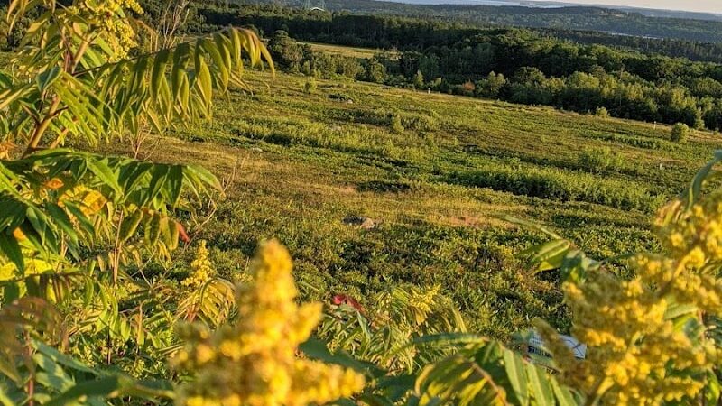 Caterpillar Hill and Cooper Farm- Blue Hill Heritage Trust - Sedgwick, ME