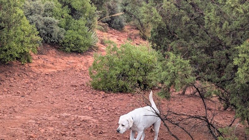 Sedona Dog Park - Sedona, AZ