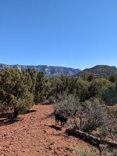 Sedona Dog Park - Sedona, AZ