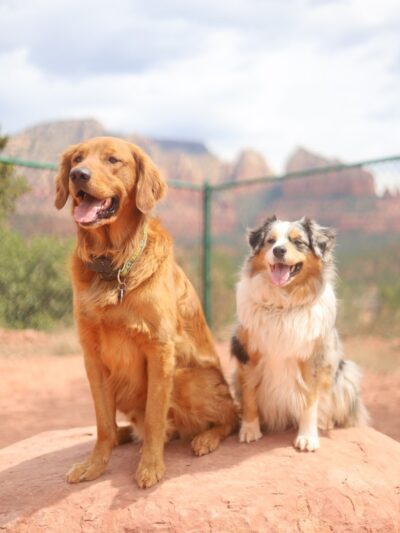 Sedona Dog Park - Sedona, AZ
