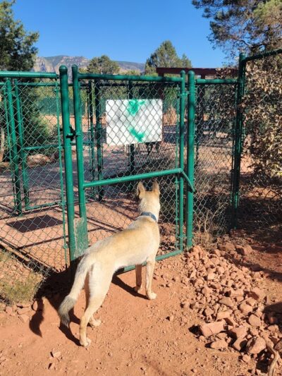 Sedona Dog Park - Sedona, AZ