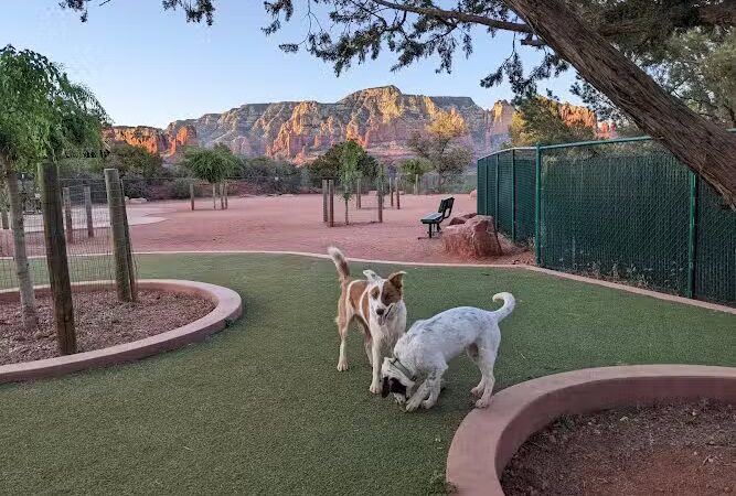 Sedona Dog Park - Sedona, AZ