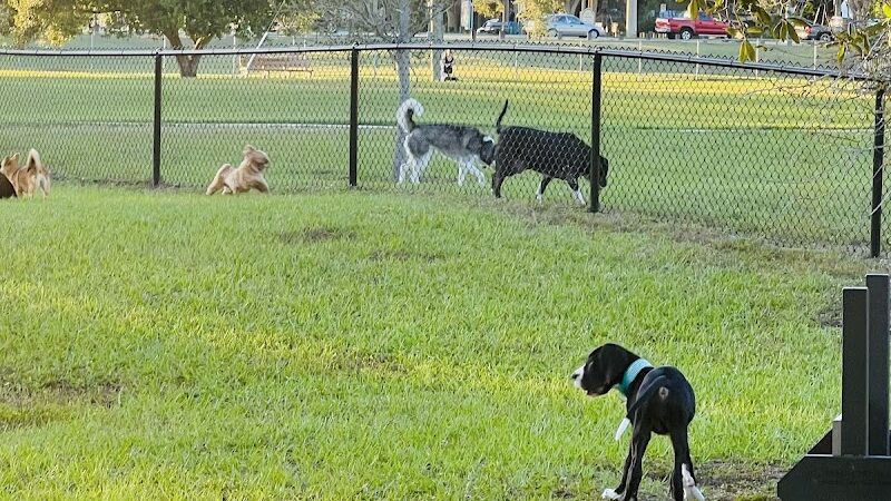 Mango Dog Park - Seffner, FL