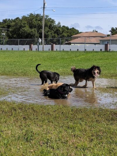Mango Dog Park - Seffner, FL