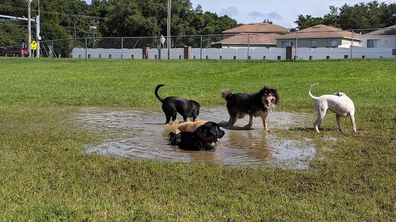 Mango Dog Park - Seffner, FL