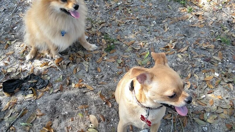 Mango Dog Park - Seffner, FL