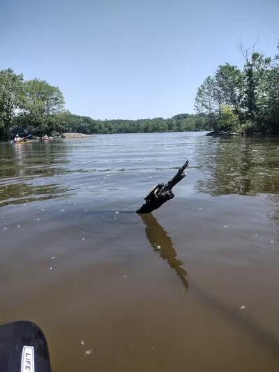 Henry Hudson Park - Selkirk, NY