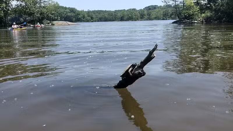 Henry Hudson Park - Selkirk, NY