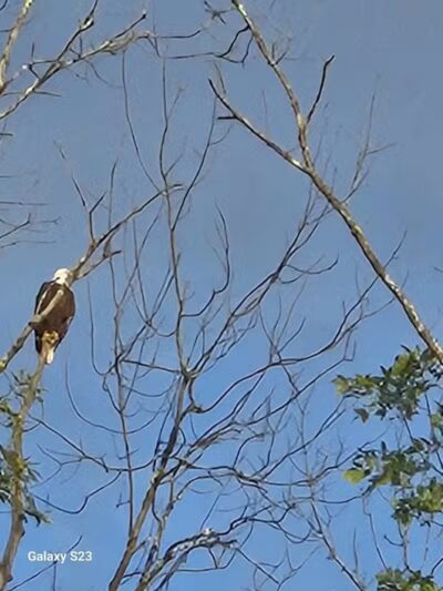 Henry Hudson Park - Selkirk, NY