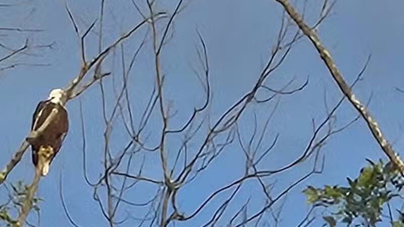 Henry Hudson Park - Selkirk, NY