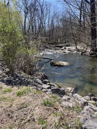 Hollyhock Hollow Sanctuary - Selkirk, NY