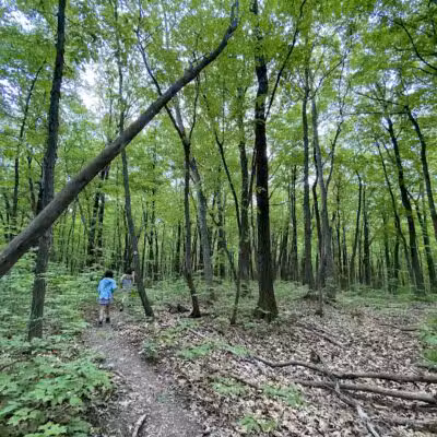 Hollyhock Hollow Sanctuary - Selkirk, NY