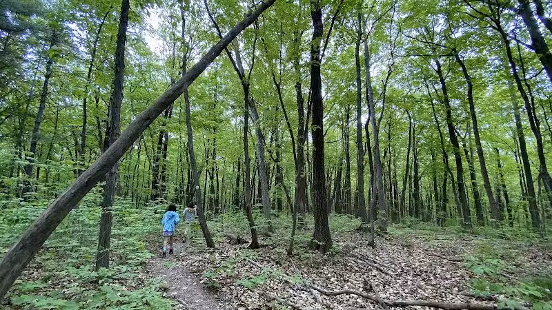 Hollyhock Hollow Sanctuary - Selkirk, NY
