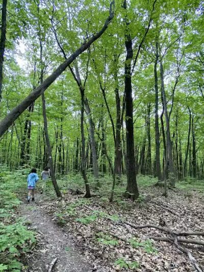 Hollyhock Hollow Sanctuary - Selkirk, NY