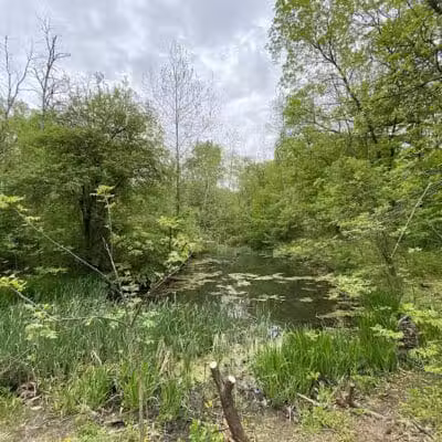 Hollyhock Hollow Sanctuary - Selkirk, NY