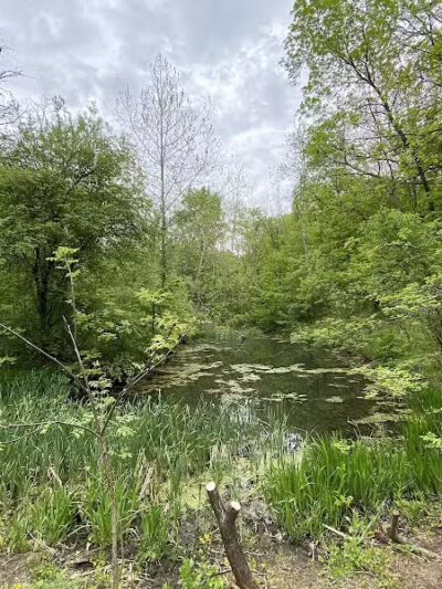 Hollyhock Hollow Sanctuary - Selkirk, NY