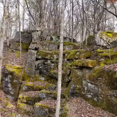 Hollyhock Hollow Sanctuary - Selkirk, NY