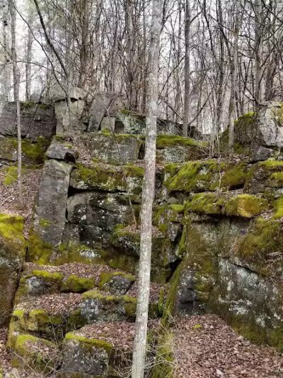 Hollyhock Hollow Sanctuary - Selkirk, NY