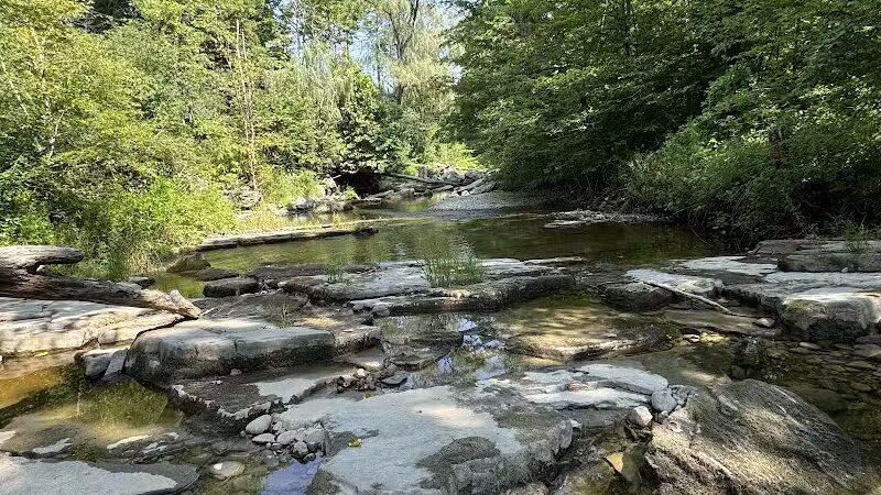 Hollyhock Hollow Sanctuary - Selkirk, NY