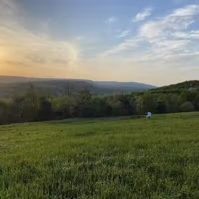 Holt Preserve - Selkirk, NY