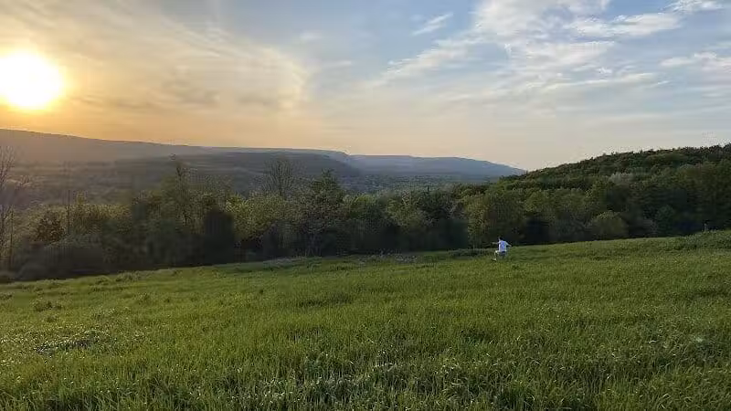 Holt Preserve - Selkirk, NY