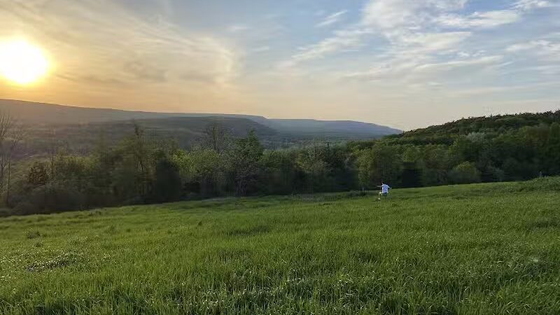 Holt Preserve - Selkirk, NY