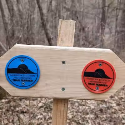 Holt Preserve - Selkirk, NY