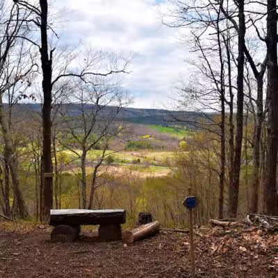 Holt Preserve - Selkirk, NY