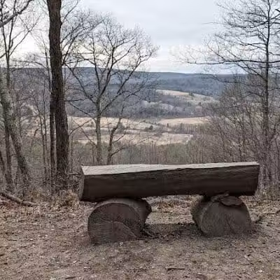 Holt Preserve - Selkirk, NY