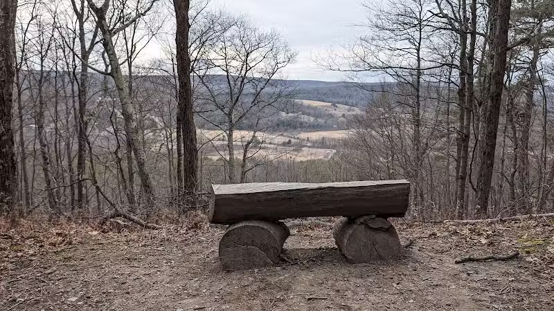 Holt Preserve - Selkirk, NY