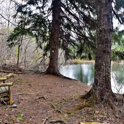 Holt Preserve - Selkirk, NY