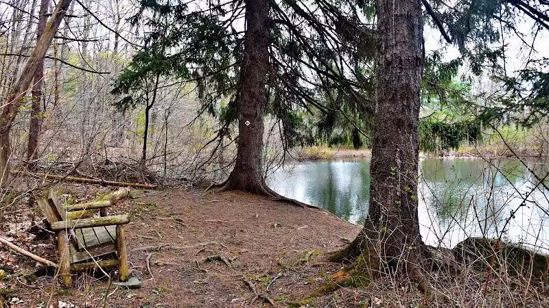 Holt Preserve - Selkirk, NY