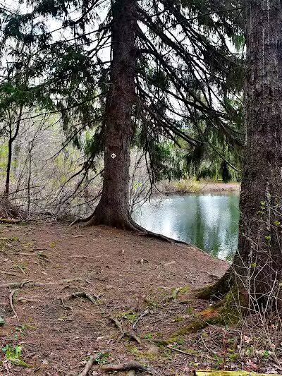 Holt Preserve - Selkirk, NY