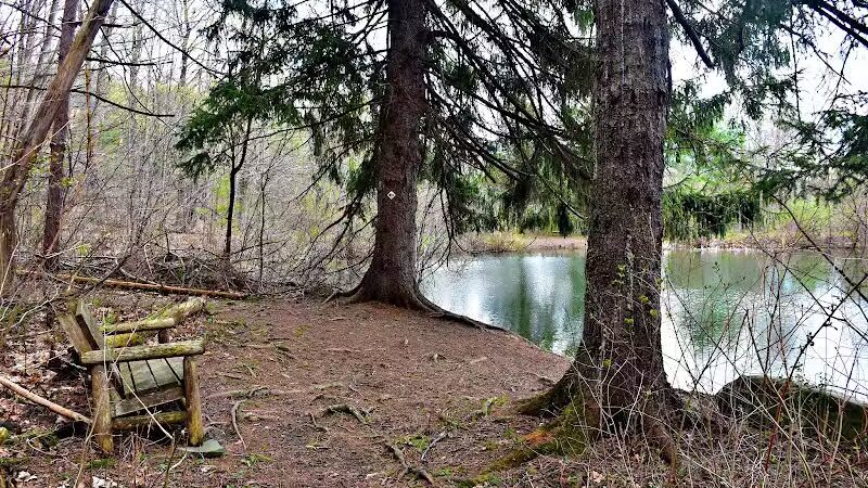 Holt Preserve - Selkirk, NY
