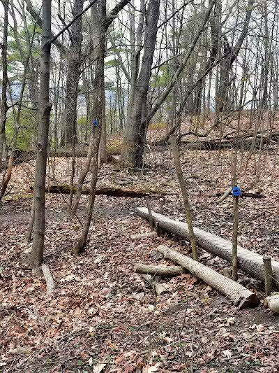 Holt Preserve - Selkirk, NY