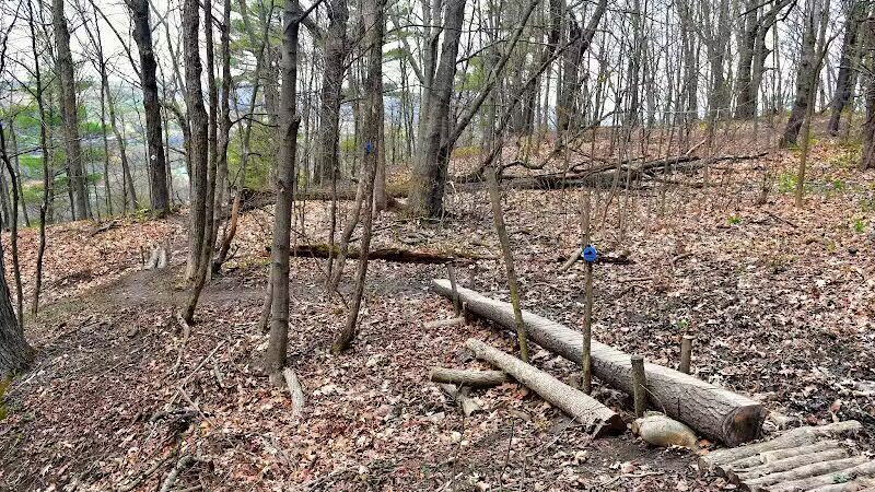 Holt Preserve - Selkirk, NY