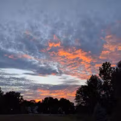Maple Ridge Park - Selkirk, NY