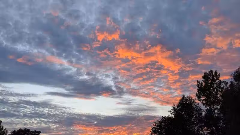 Maple Ridge Park - Selkirk, NY