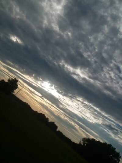 Maple Ridge Park - Selkirk, NY