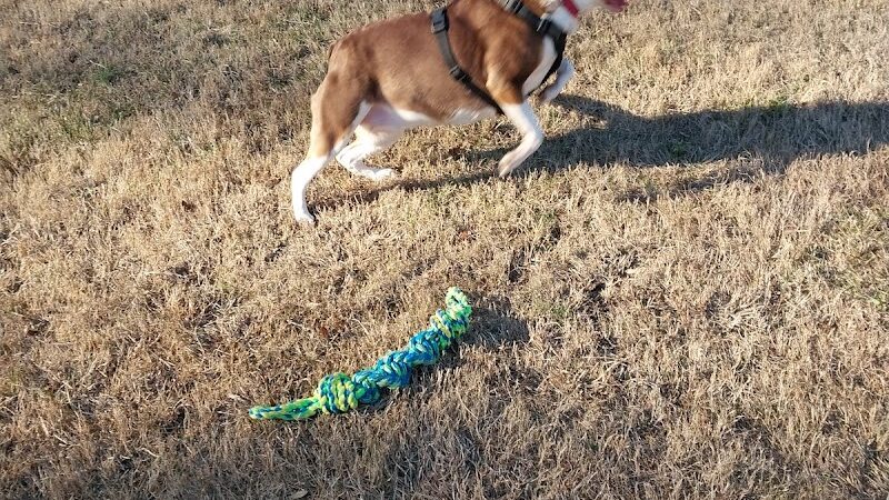 Phil White Dog Park - Sewanee, TN