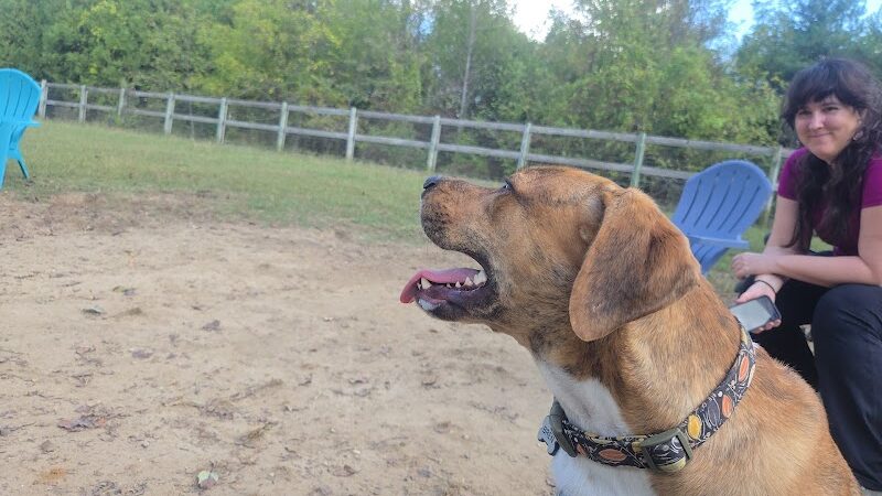 Phil White Dog Park - Sewanee, TN