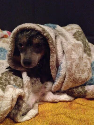 Goehner Westbound Truck Parking - Seward, NE