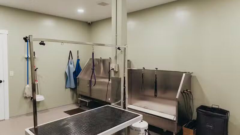 The Alps Bark Park - Seward, NE