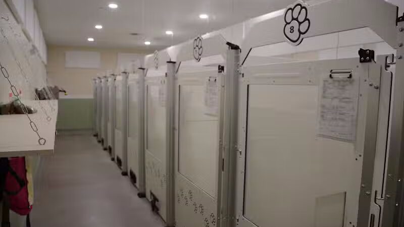 The Alps Bark Park - Seward, NE