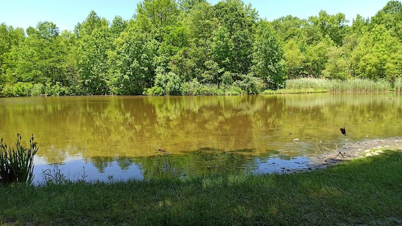Washington Lake Park - Sewell, NJ