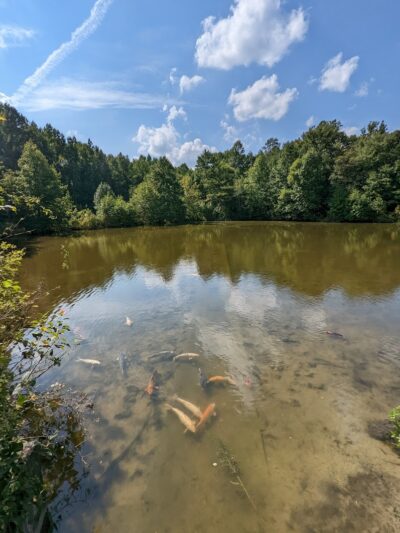 Washington Lake Park - Sewell, NJ